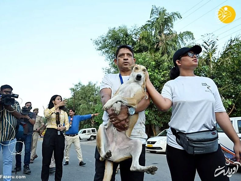 (ویدئو) کمتر از ۱۰ ثانیه؛ تخریب دو آسمان‌خراش غیرقانونی با مواد منفجره